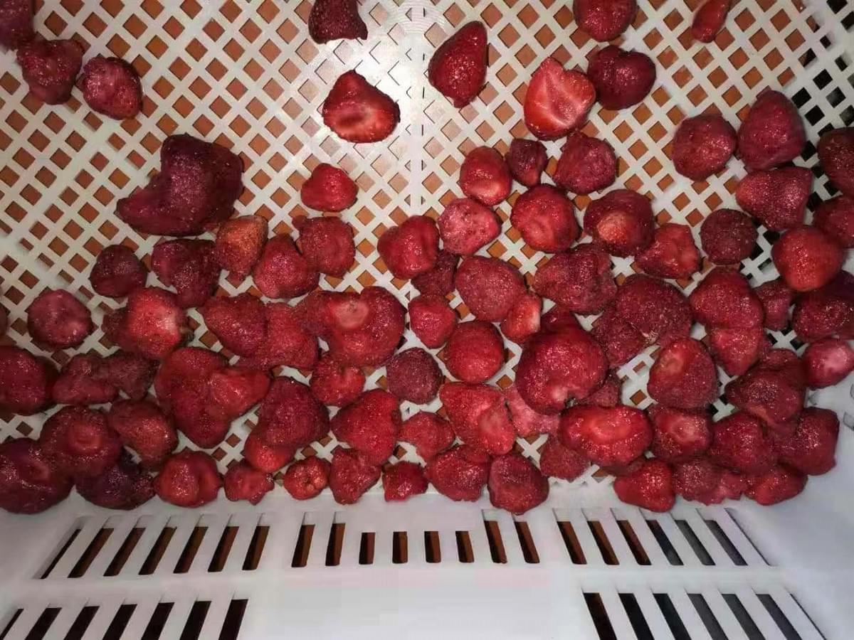 IQF Broken Strawberries American No.13 Variety