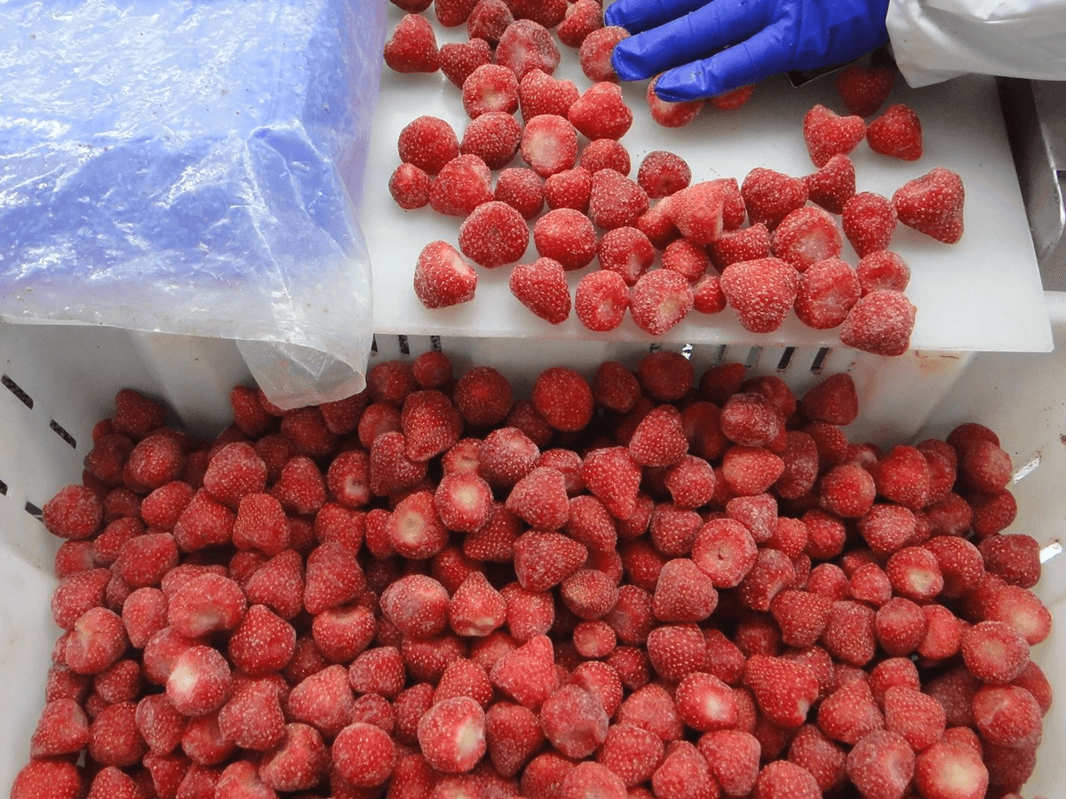 IQF Strawberries Sweet Charlie Variety