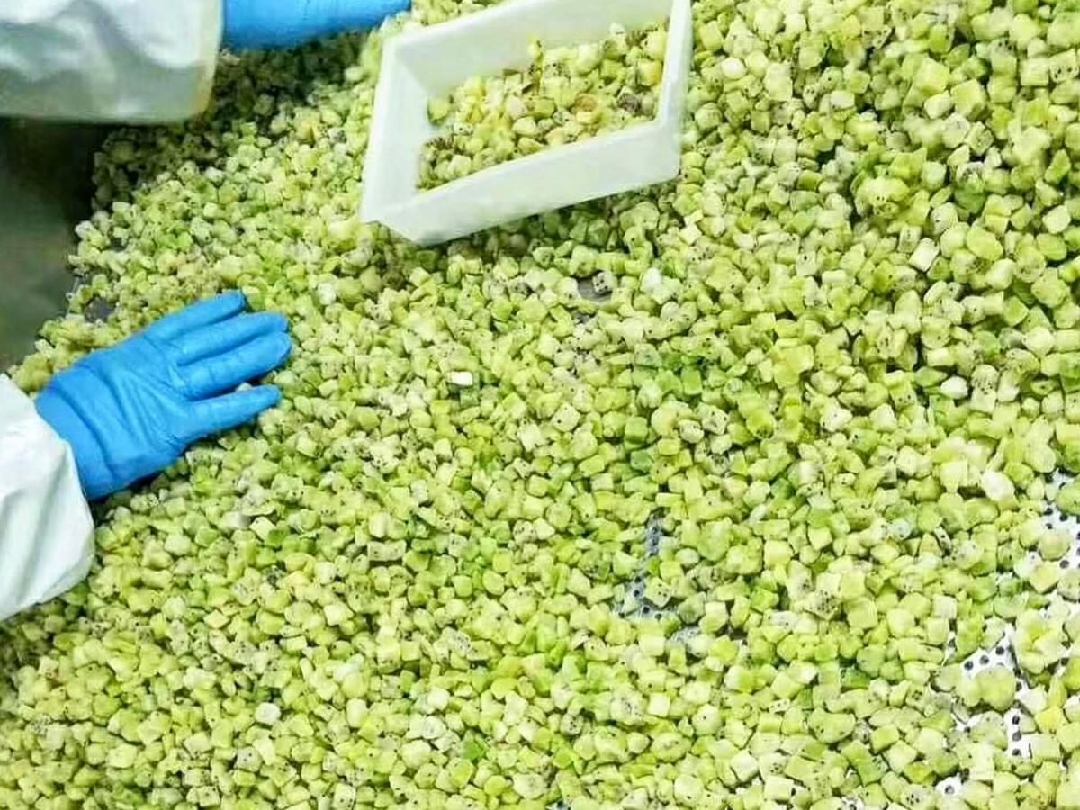 IQF Diced Kiwi