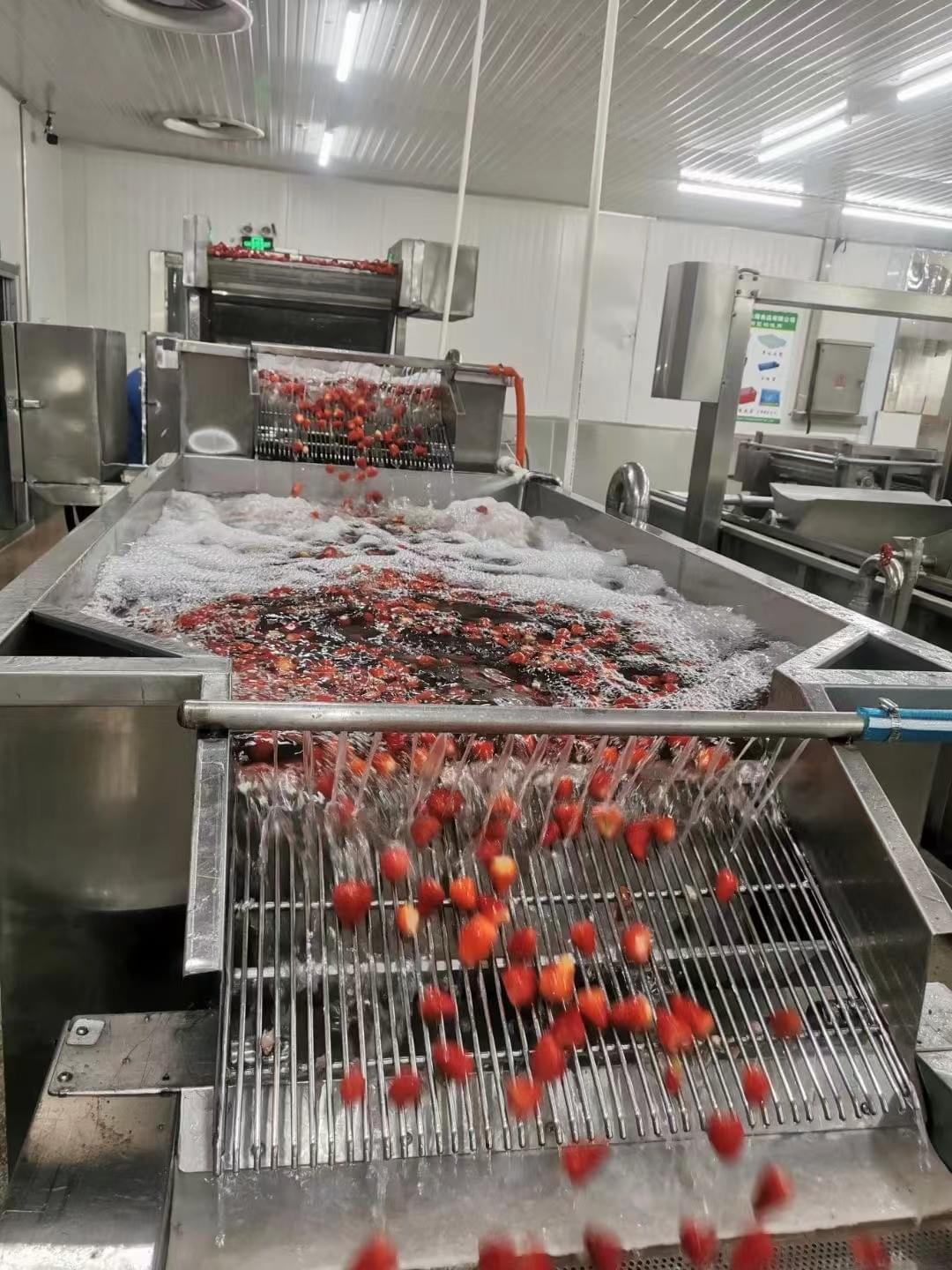 IQF Strawberries Brokens R7 Variety