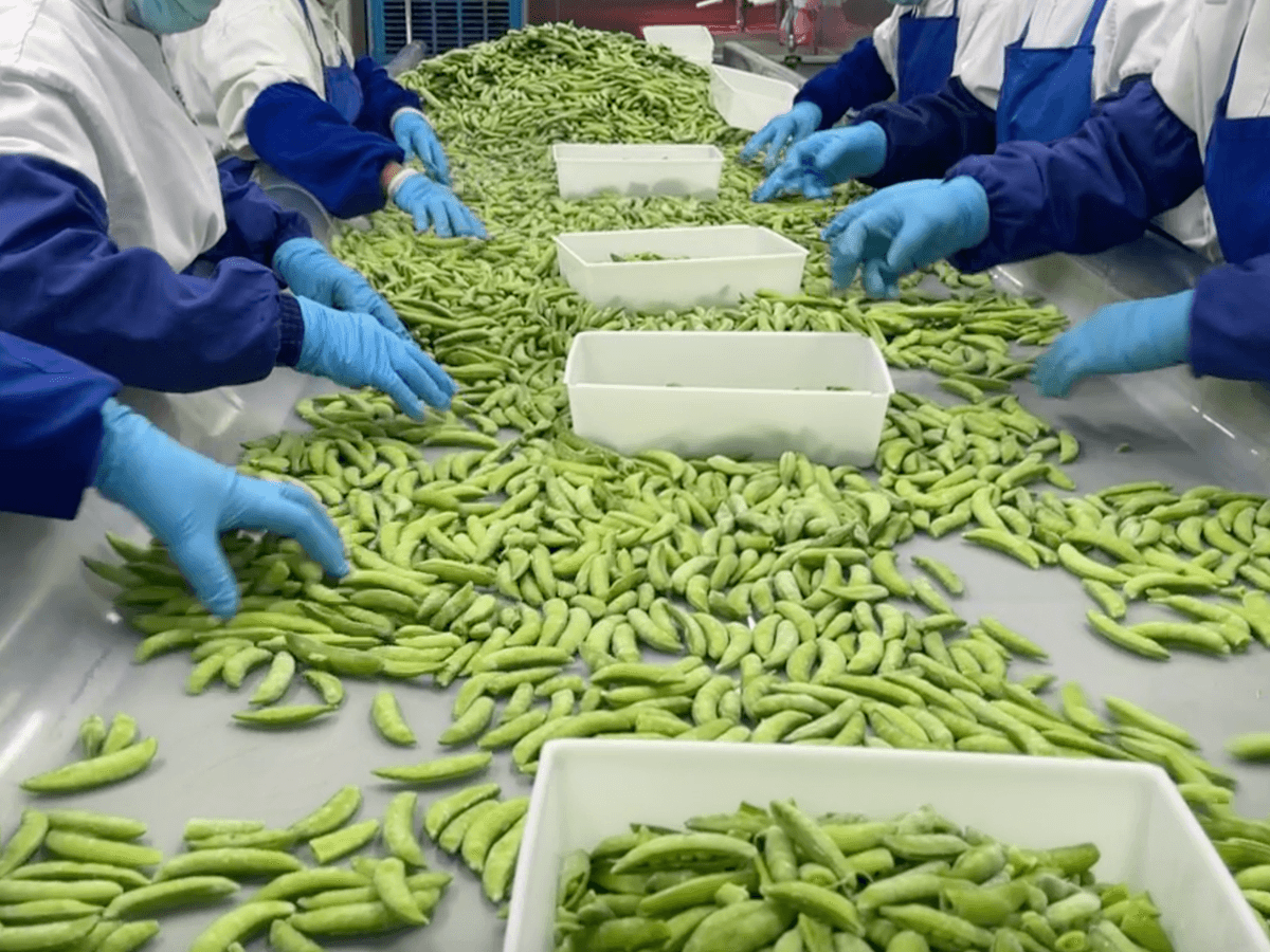 IQF Sugar Snap Peas