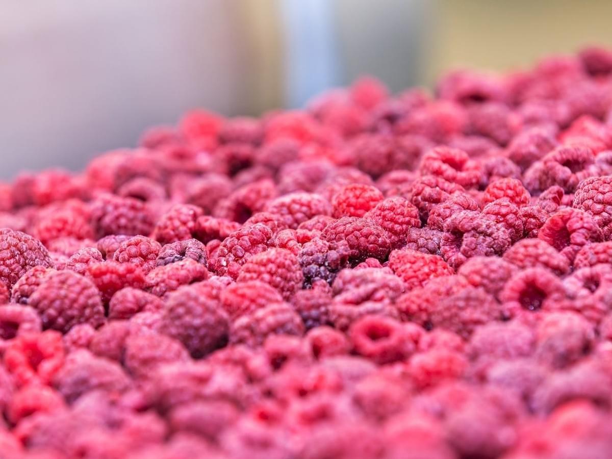 IQF Raspberry Crumbles for Food Processing IQF Raspberry Crumbles for Food Processing
