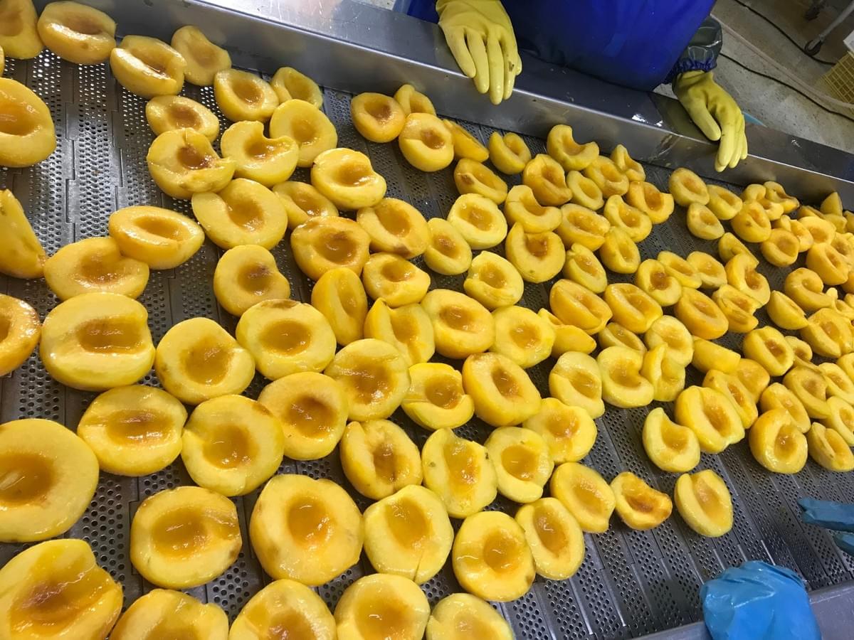 IQF Yellow Peaches Halves