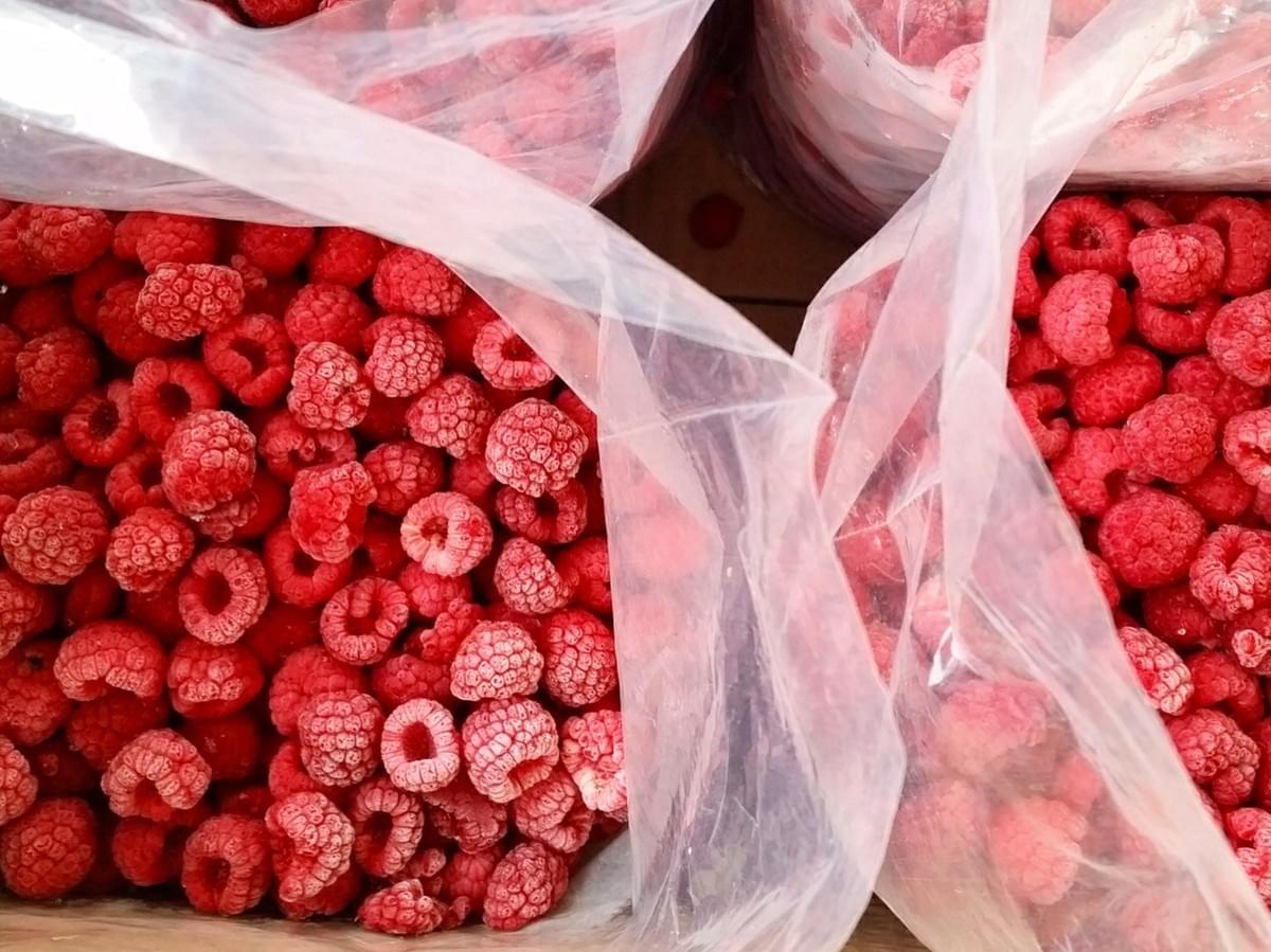 private label frozen berries supplier China private label frozen berries supplier China