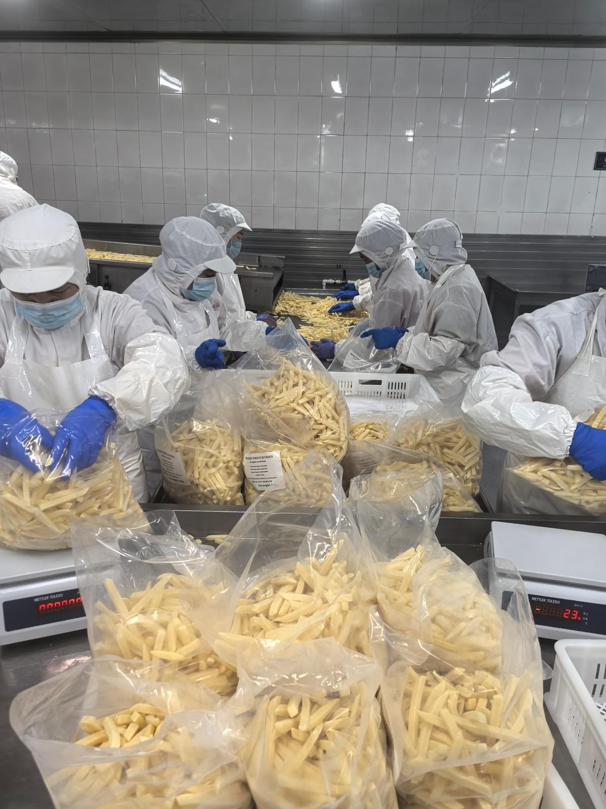 frozen straight cut potato fries supplier frozen straight cut potato fries supplier