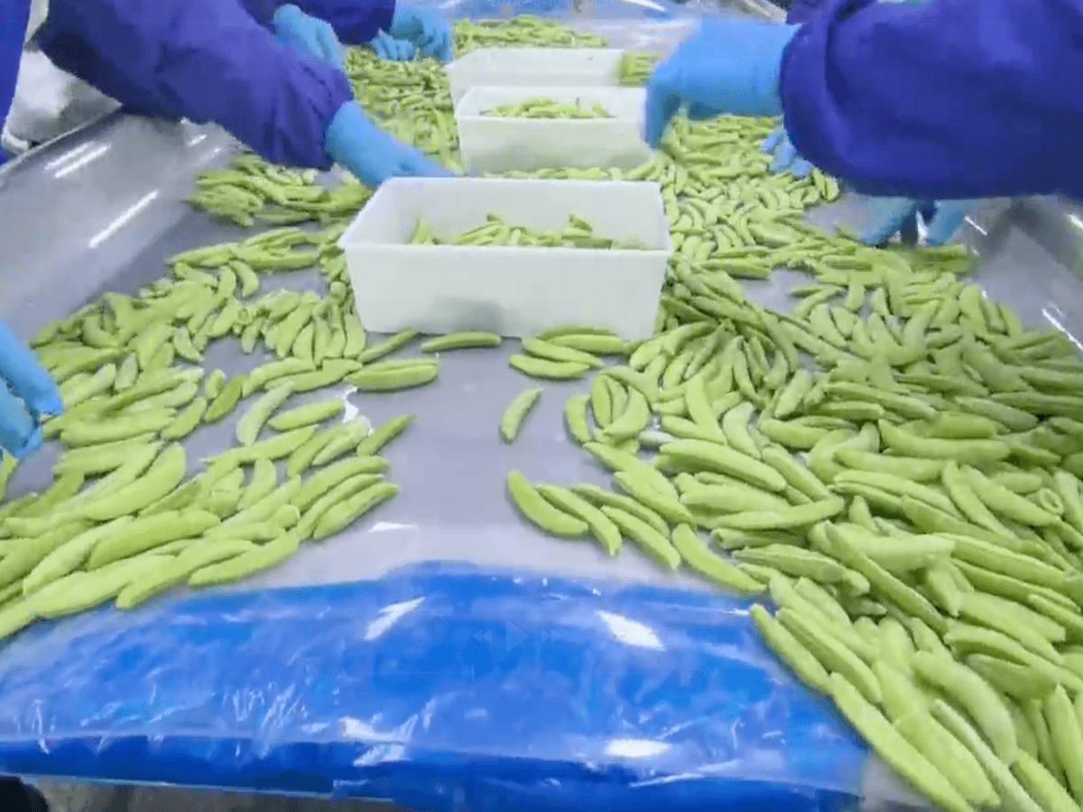 IQF Sugar Snap Peas