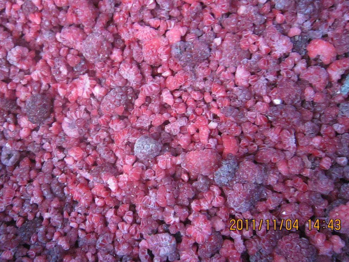 Frozen Raspberry Brokens Supplier Frozen Raspberry Brokens Supplier