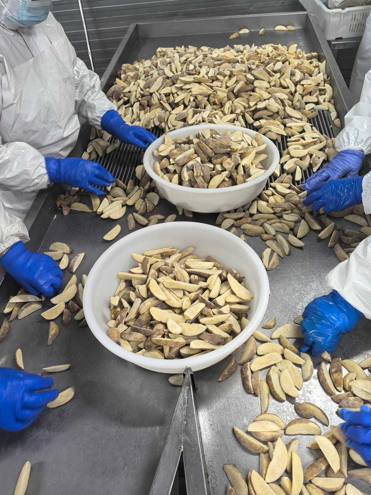 Frozen Potato Wedge Cuts Exporter Frozen Potato Wedge Cuts Exporter