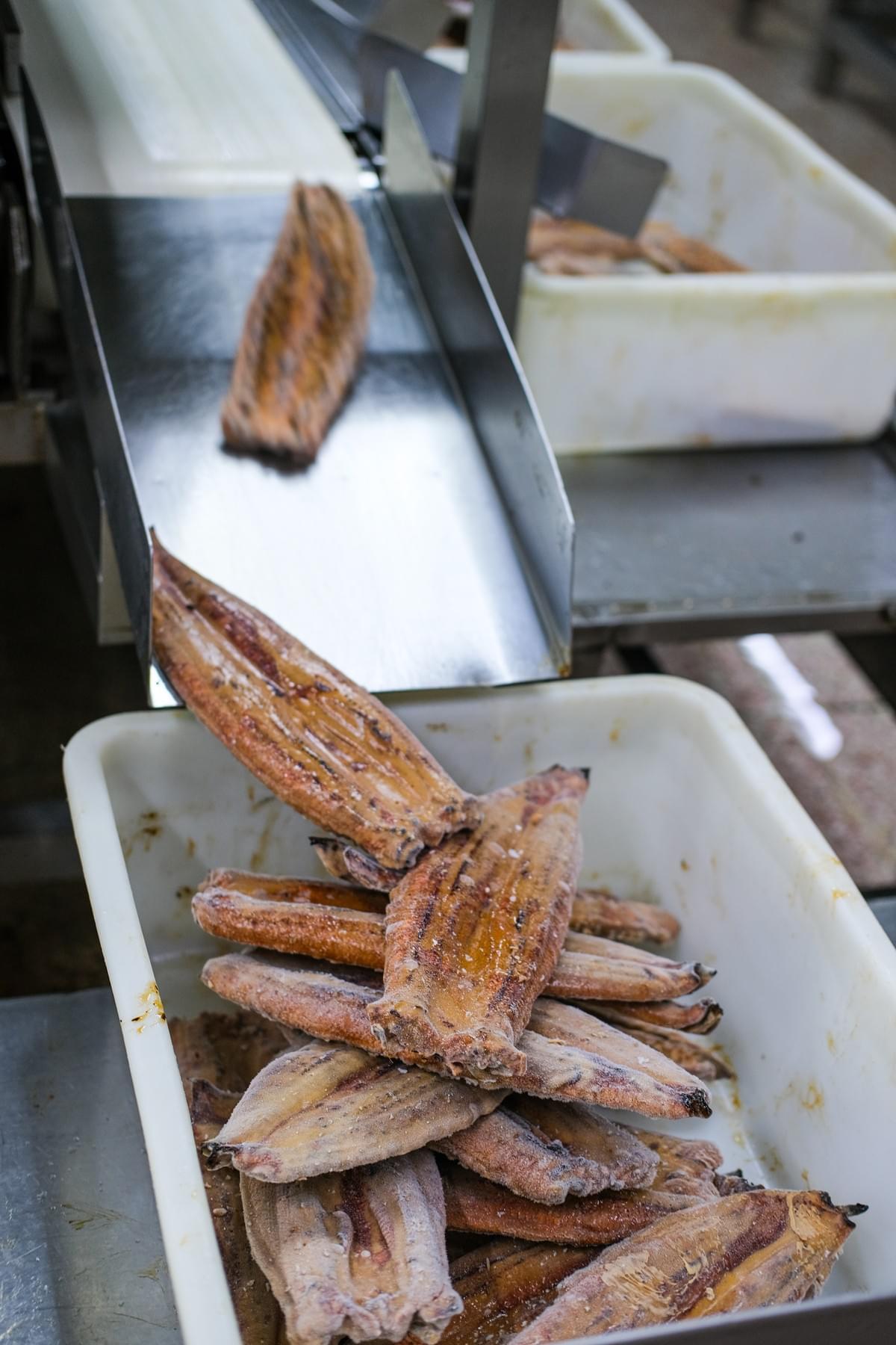 Halal Frozen Japanese-Style Roasted Eel Halal Frozen Japanese-Style Roasted Eel