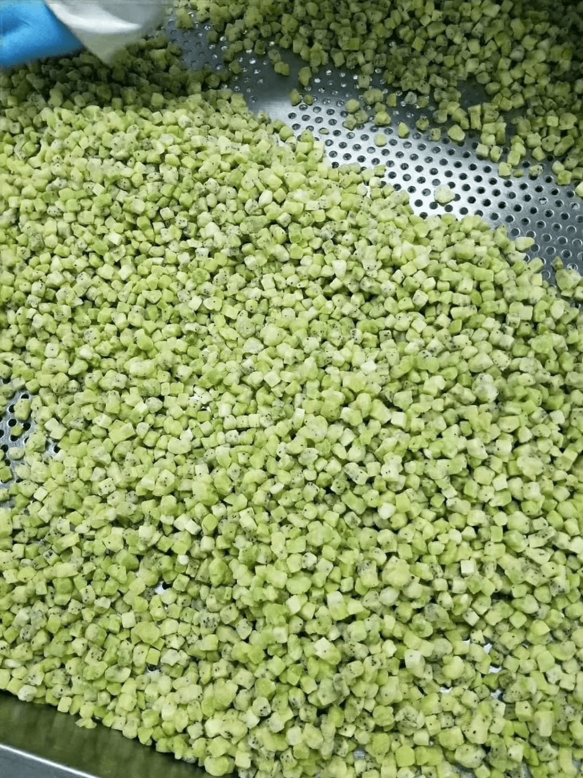 IQF Diced Kiwi