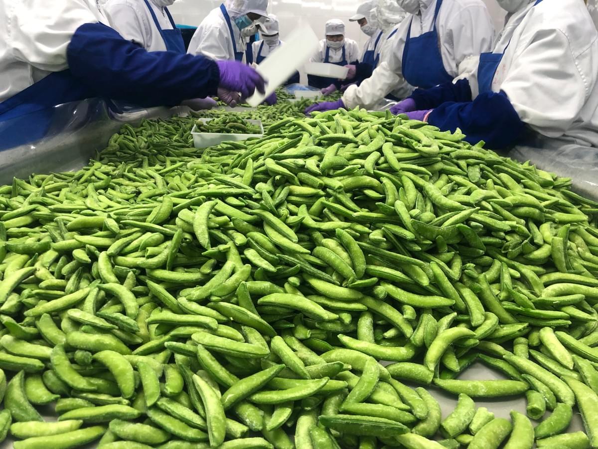 IQF Sugar Snap Peas