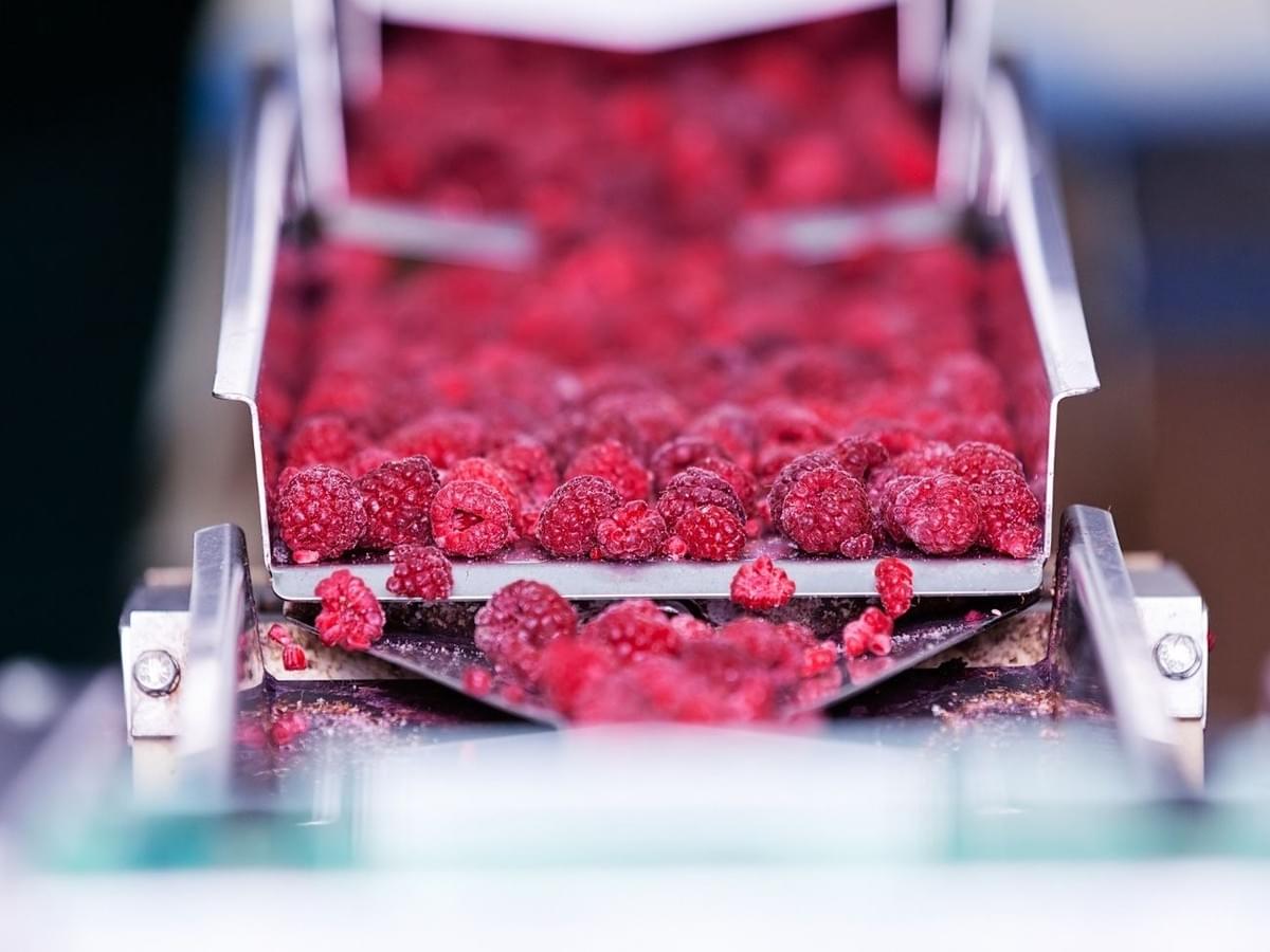 Frozen Raspberry Crumbles Bulk Supply Frozen Raspberry Crumbles Bulk Supply