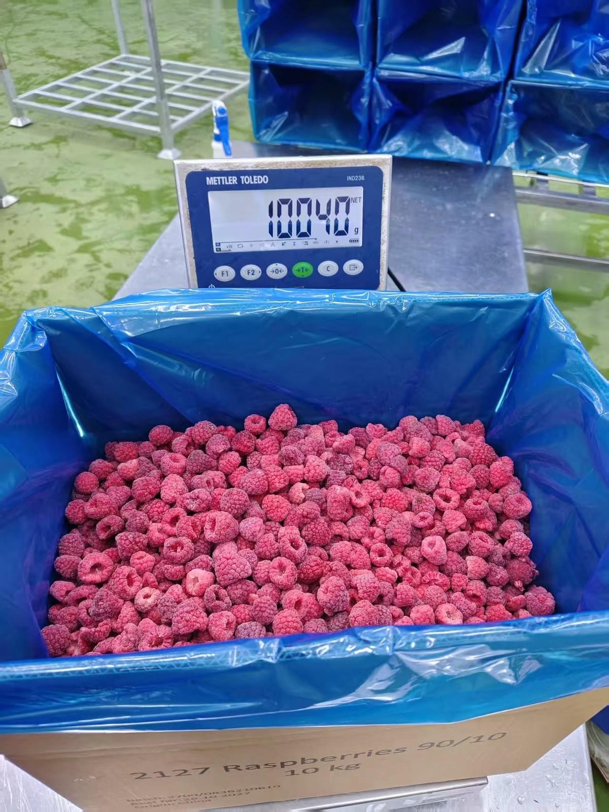IQF Raspberries Supplier IQF Raspberries Supplier