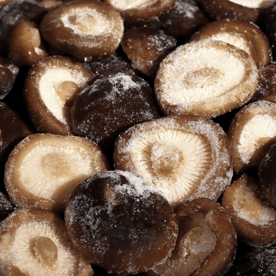 IQF Frozen Shiitake Mushrooms, Champignon, Nameko, Mixed Mushrooms, Cantharellus Cibarius, Black Fungus Supplier IQF Frozen Shiitake Mushrooms, Champignon, Nameko, Mixed Mushrooms, Cantharellus Cibarius, Black Fungus Supplier
