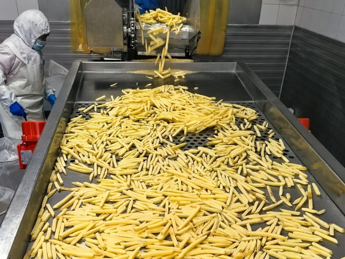 uncoated frozen straight cut French fries supplier uncoated frozen straight cut French fries supplier