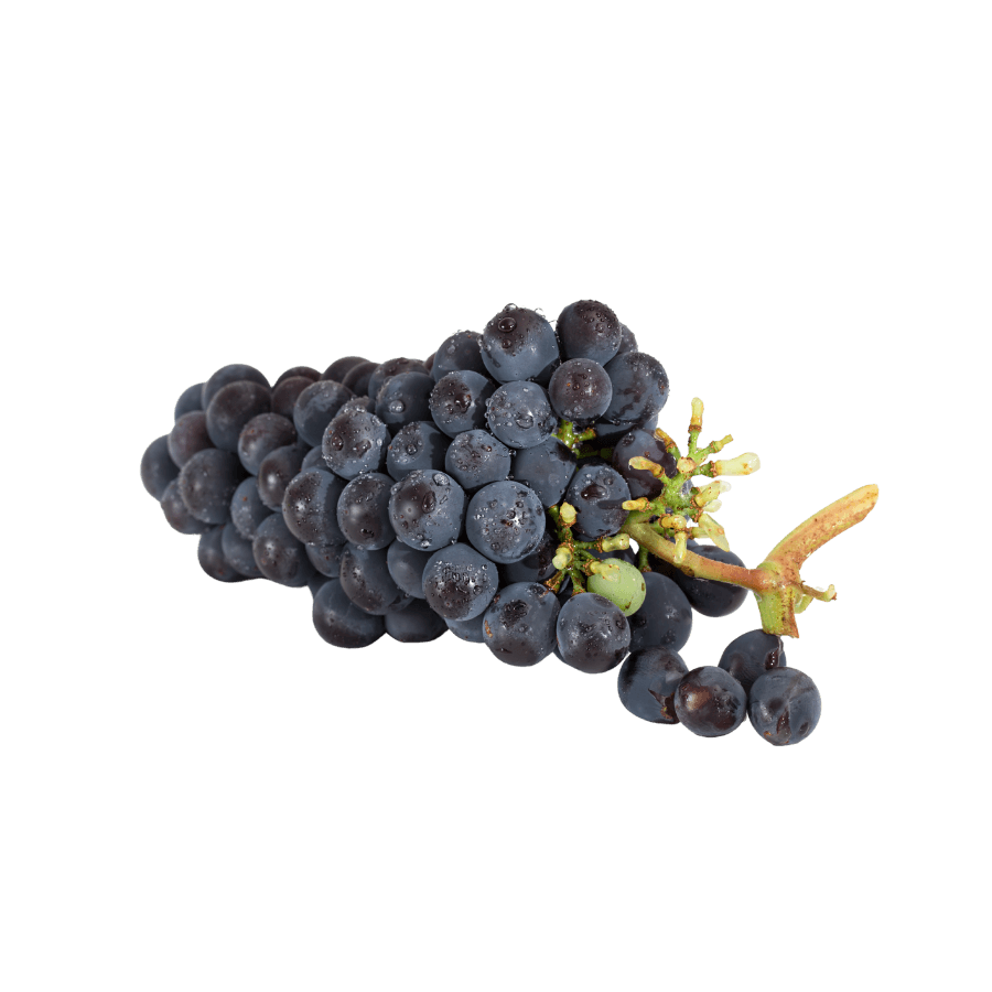 Click to get more info Click to get more info