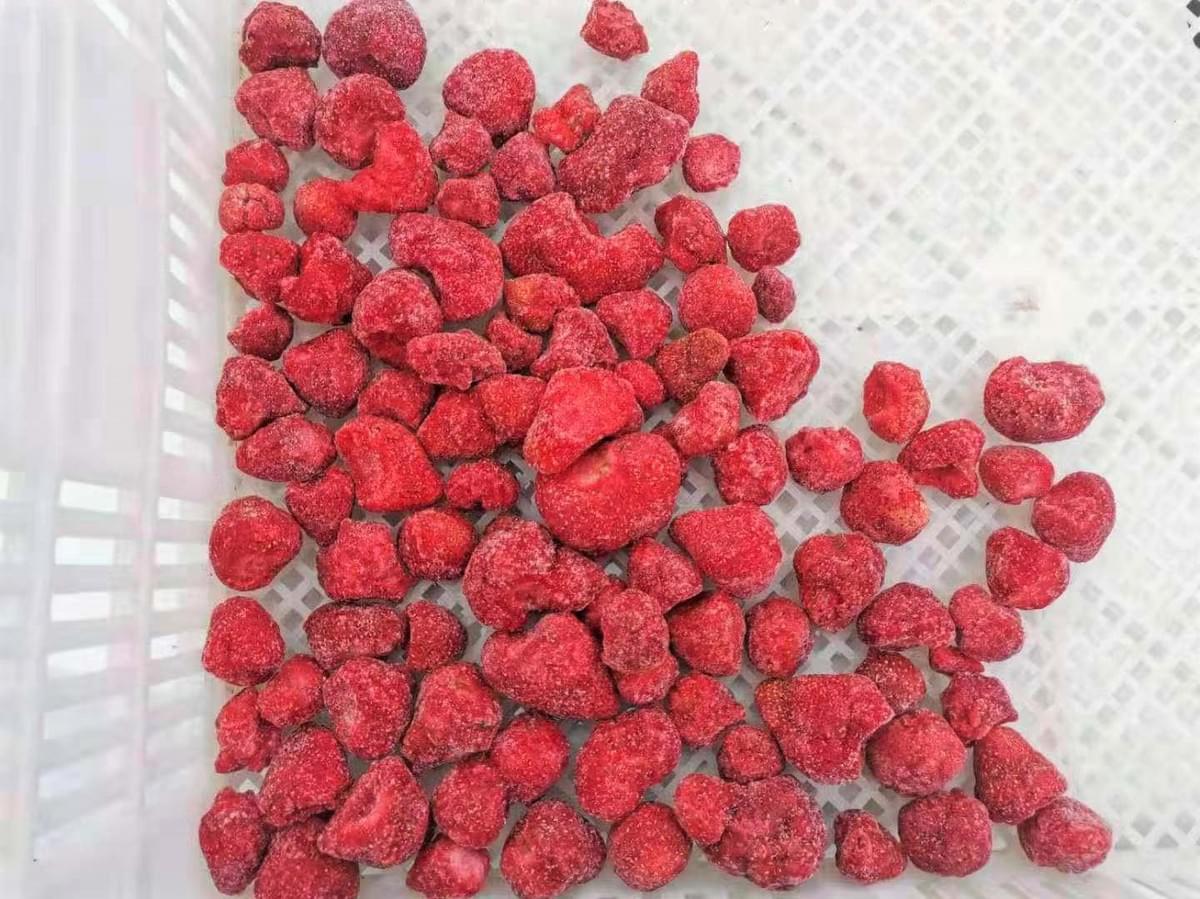 IQF Broken Strawberries American No.13 Variety
