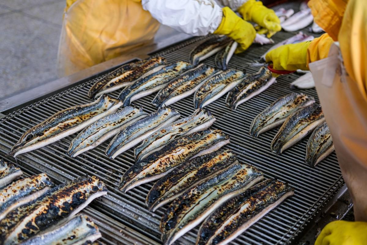 Frozen pre-cooked unagi kabayaki factory china Frozen pre-cooked unagi kabayaki factory china