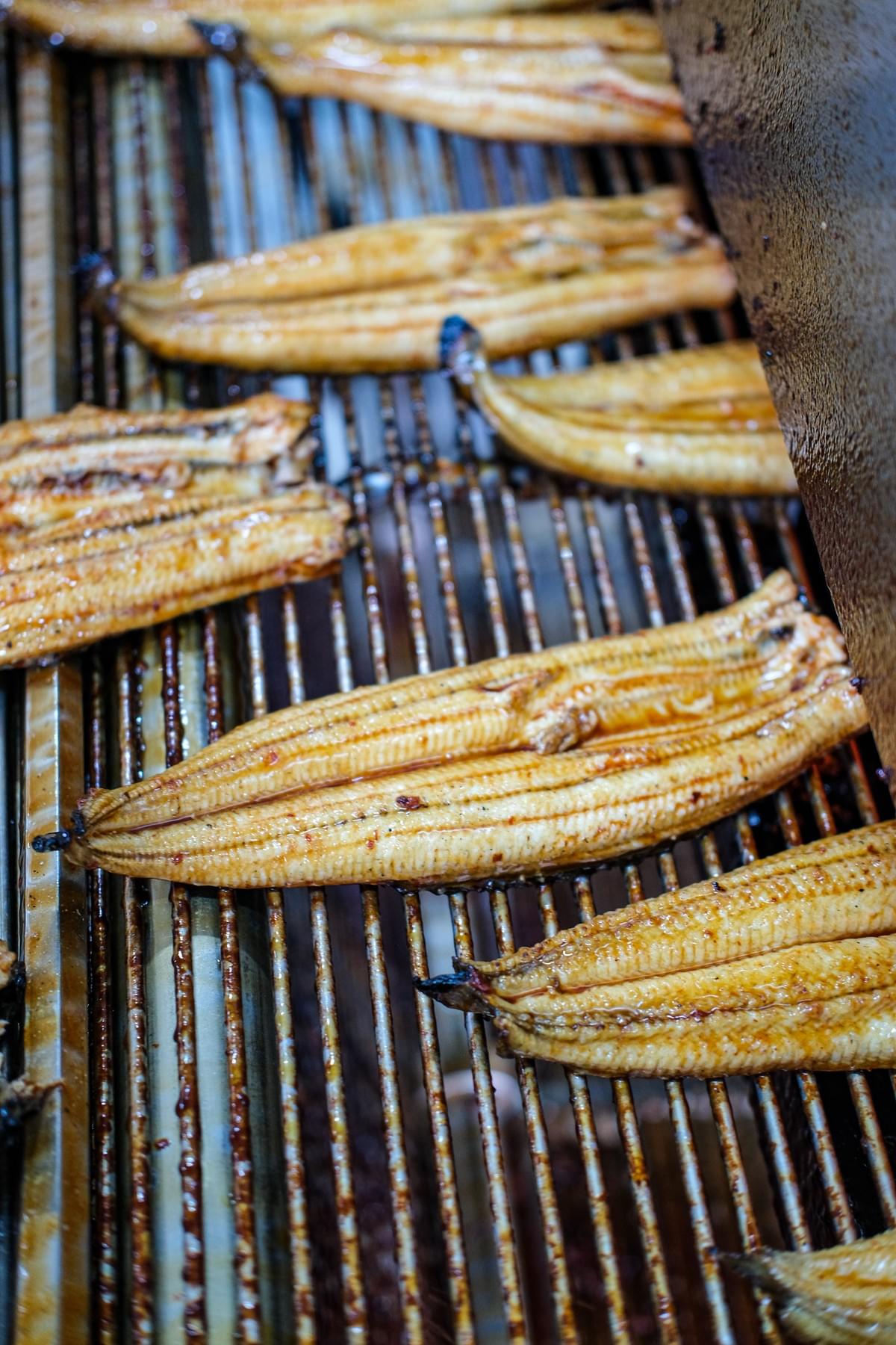 Frozen Japanese-Style Roasted Eel Exporter Frozen Japanese-Style Roasted Eel Exporter