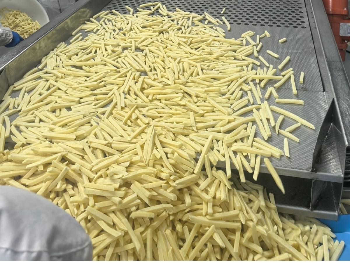 Frozen French Fries for QSR Restaurants Frozen French Fries for QSR Restaurants