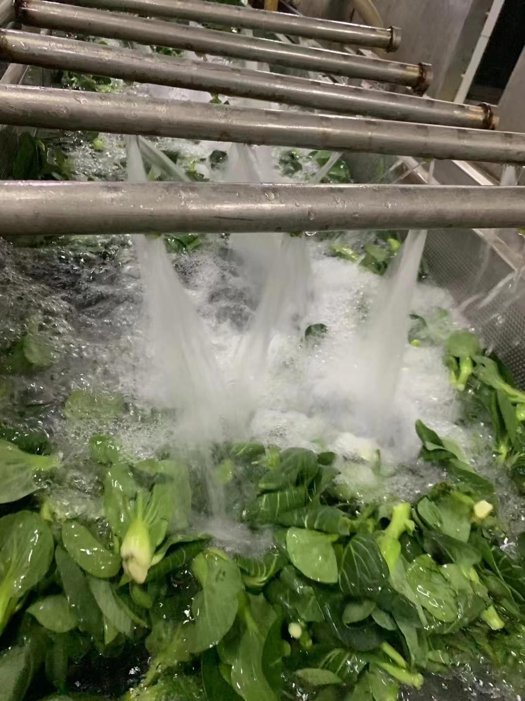 IQF Rape Flower