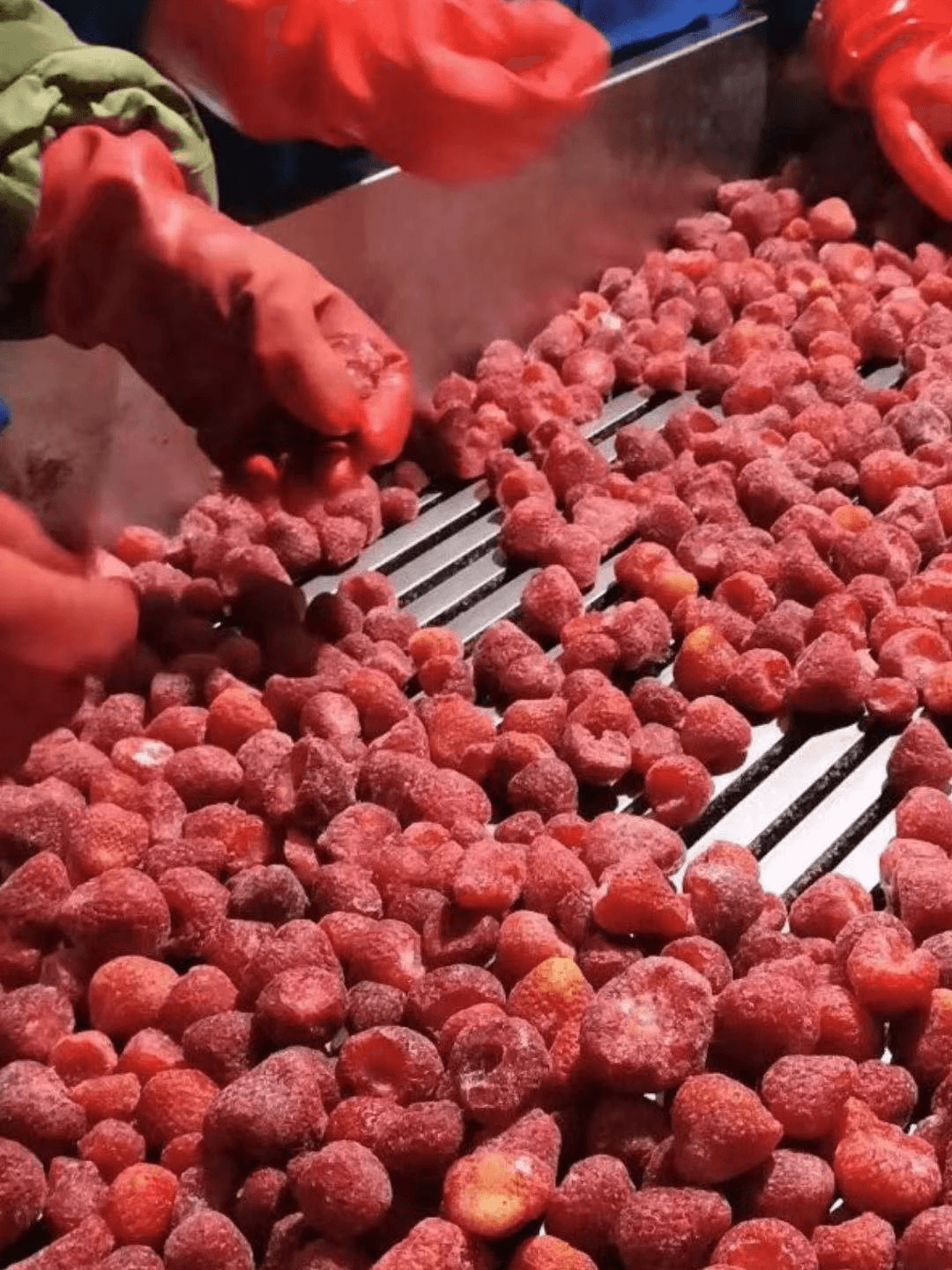 IQF Strawberries Honey Variety