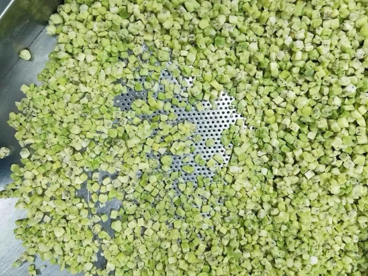 IQF Diced Kiwi