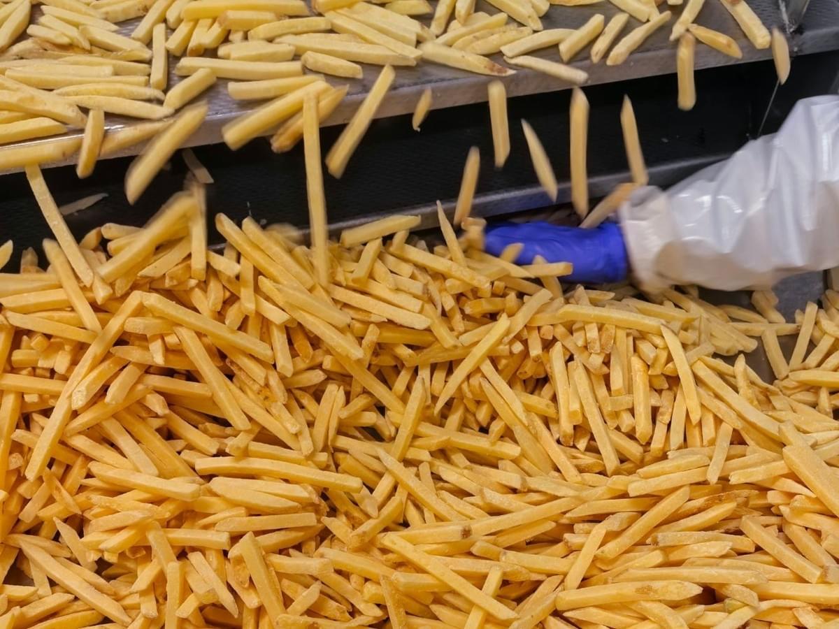 frozen straight cut French fries manufacturer frozen straight cut French fries manufacturer