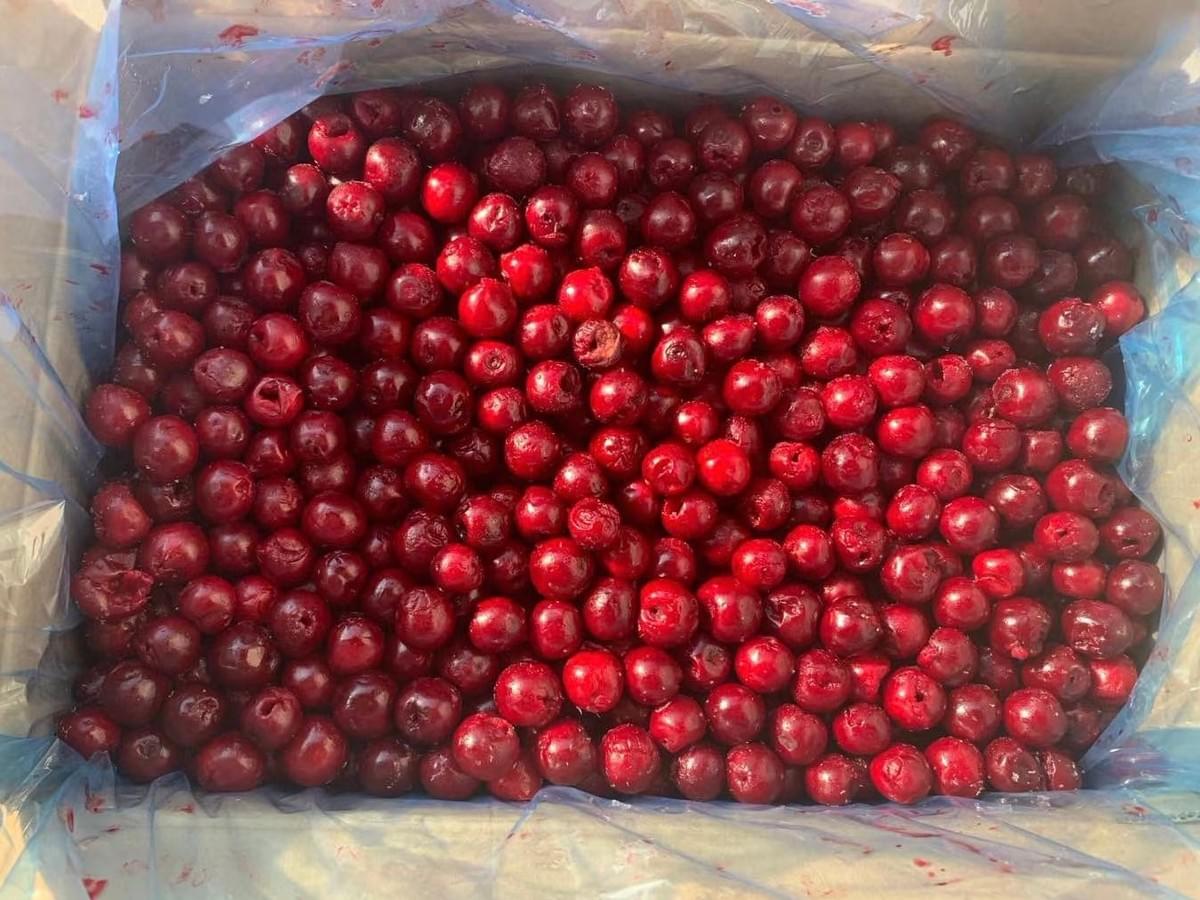 Frozen Lingonberries Bulk Supply Frozen Lingonberries Bulk Supply