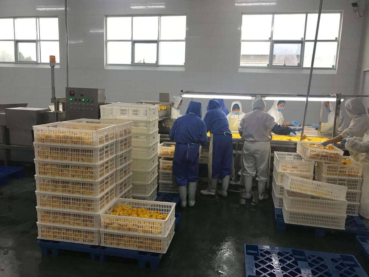 IQF Yellow Peaches Halves