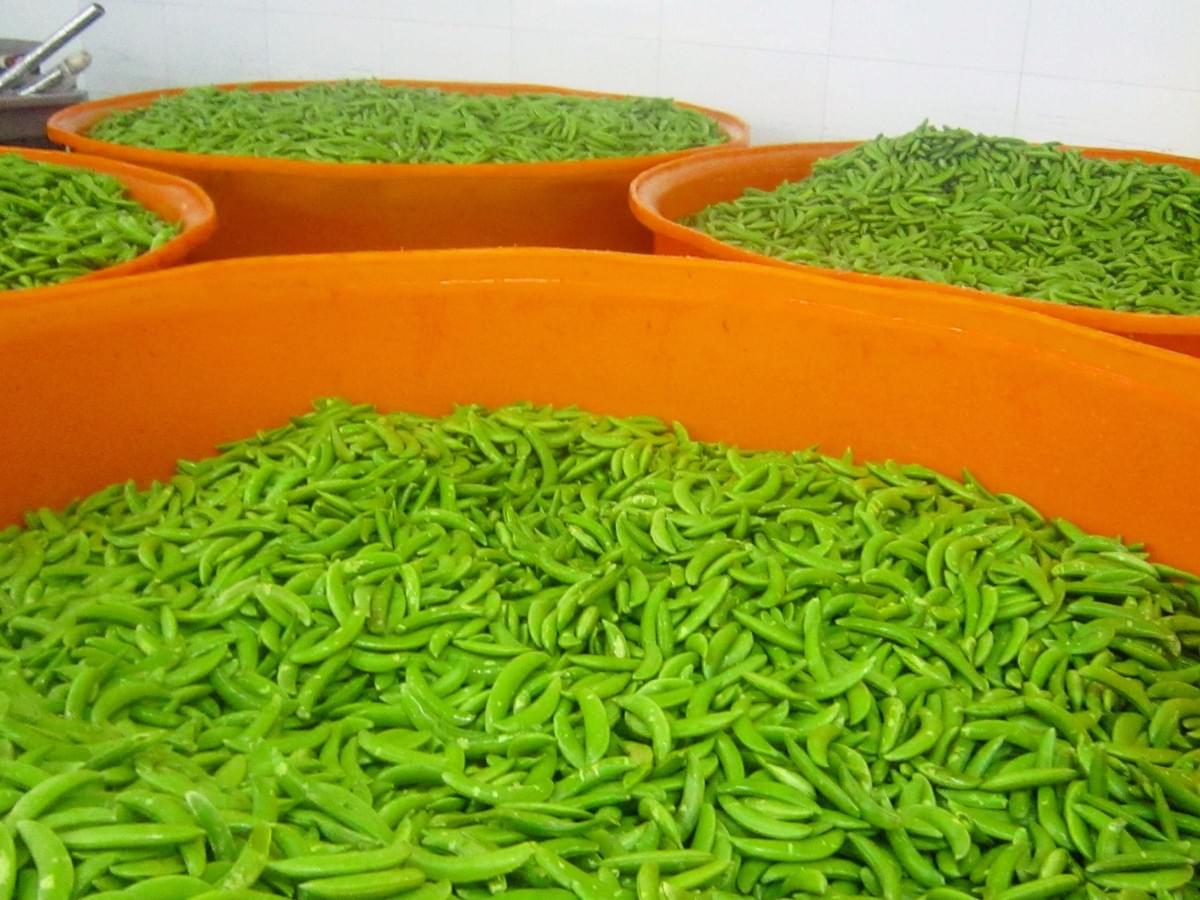 IQF Sugar Snap Peas