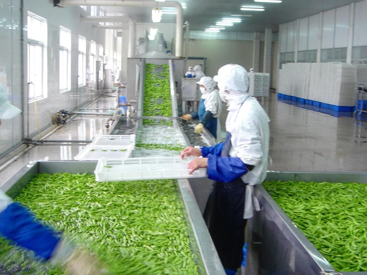 IQF Sugar Snap Peas