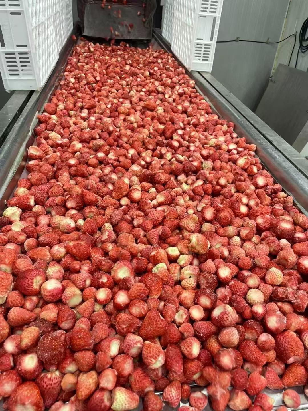 IQF Frozen Strawberry Wholesale China IQF Frozen Strawberry Wholesale China