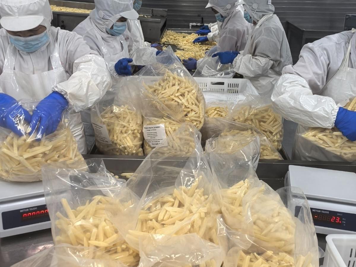 frozen straight cut French fries for foodservice frozen straight cut French fries for foodservice