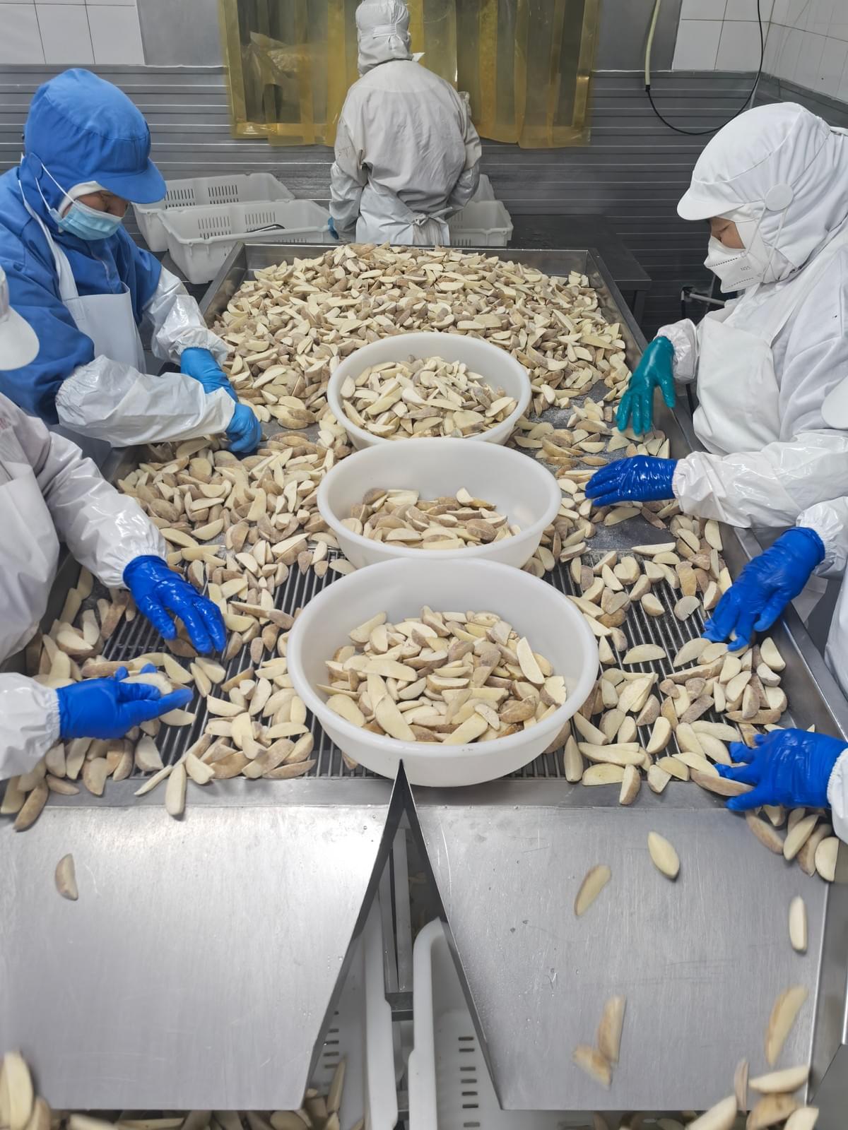 Frozen Wedge Cut Fries