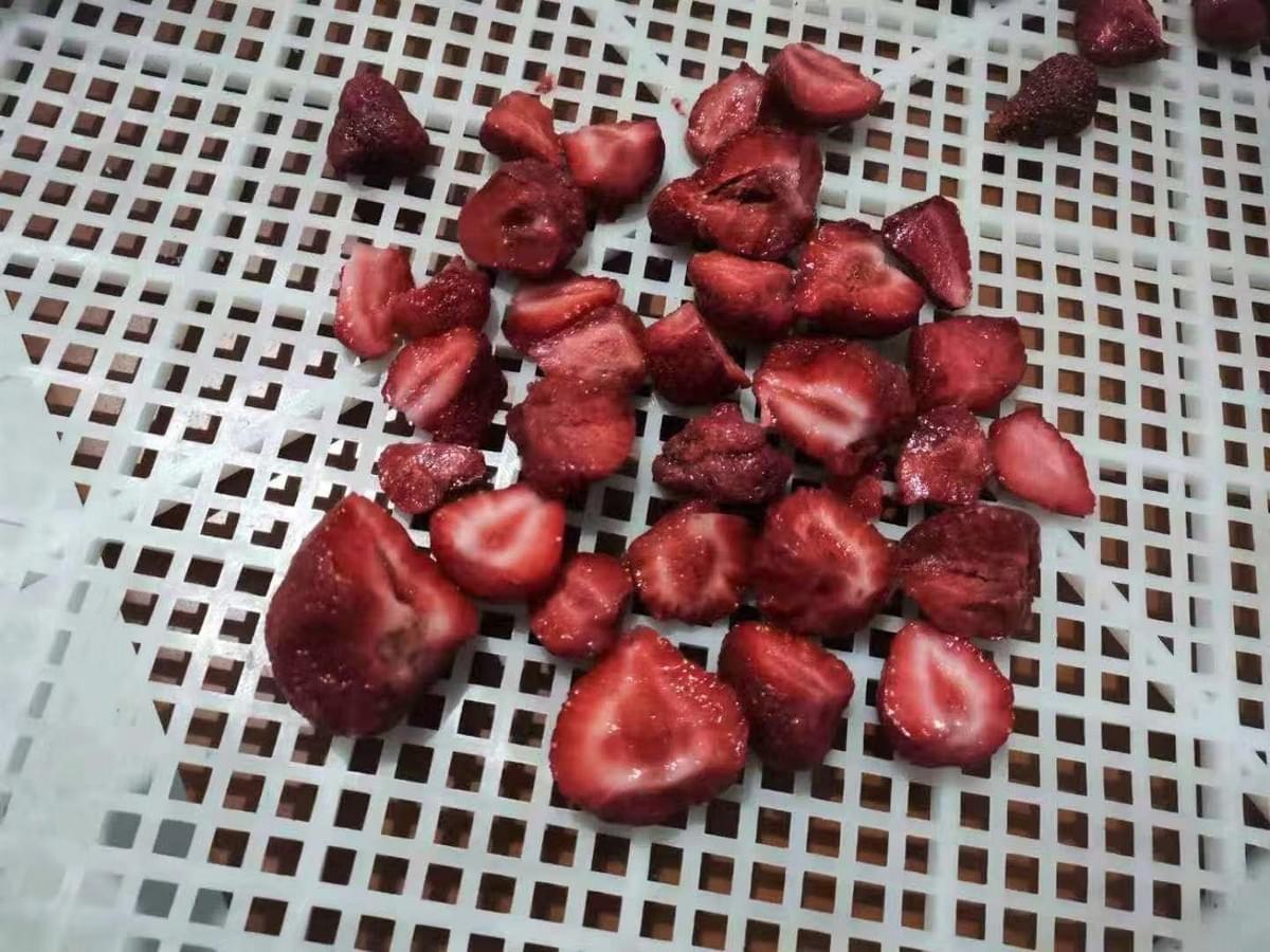 IQF Broken Strawberries American No.13 Variety
