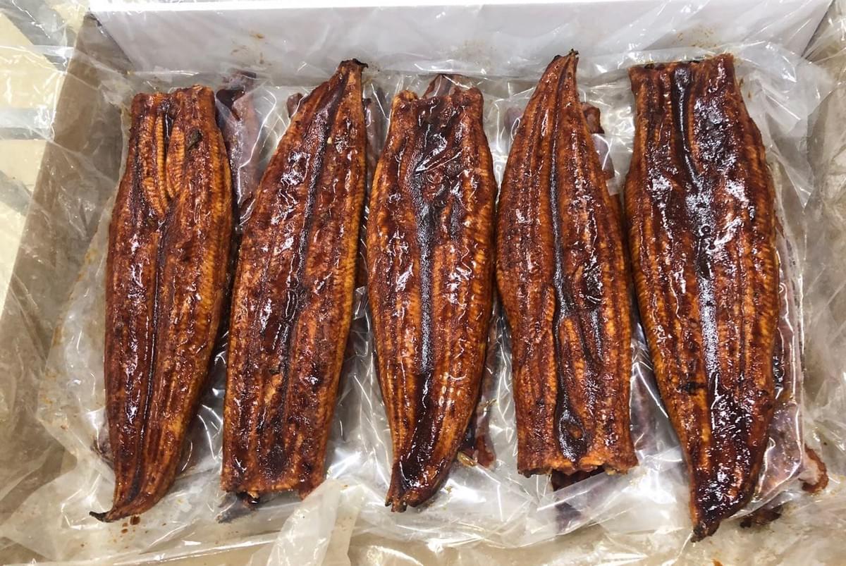 Frozen unagi kabayaki factory Frozen unagi kabayaki factory