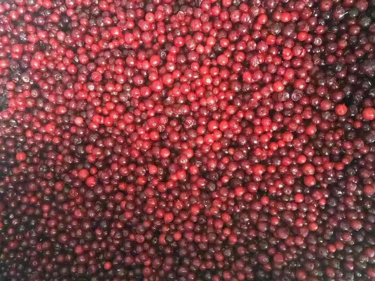 Frozen Lingonberries Supplier China Frozen Lingonberries Supplier China