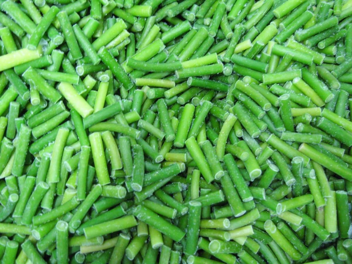IQF Frozen Garlic Sprouts Supplier China IQF Frozen Garlic Sprouts Supplier China