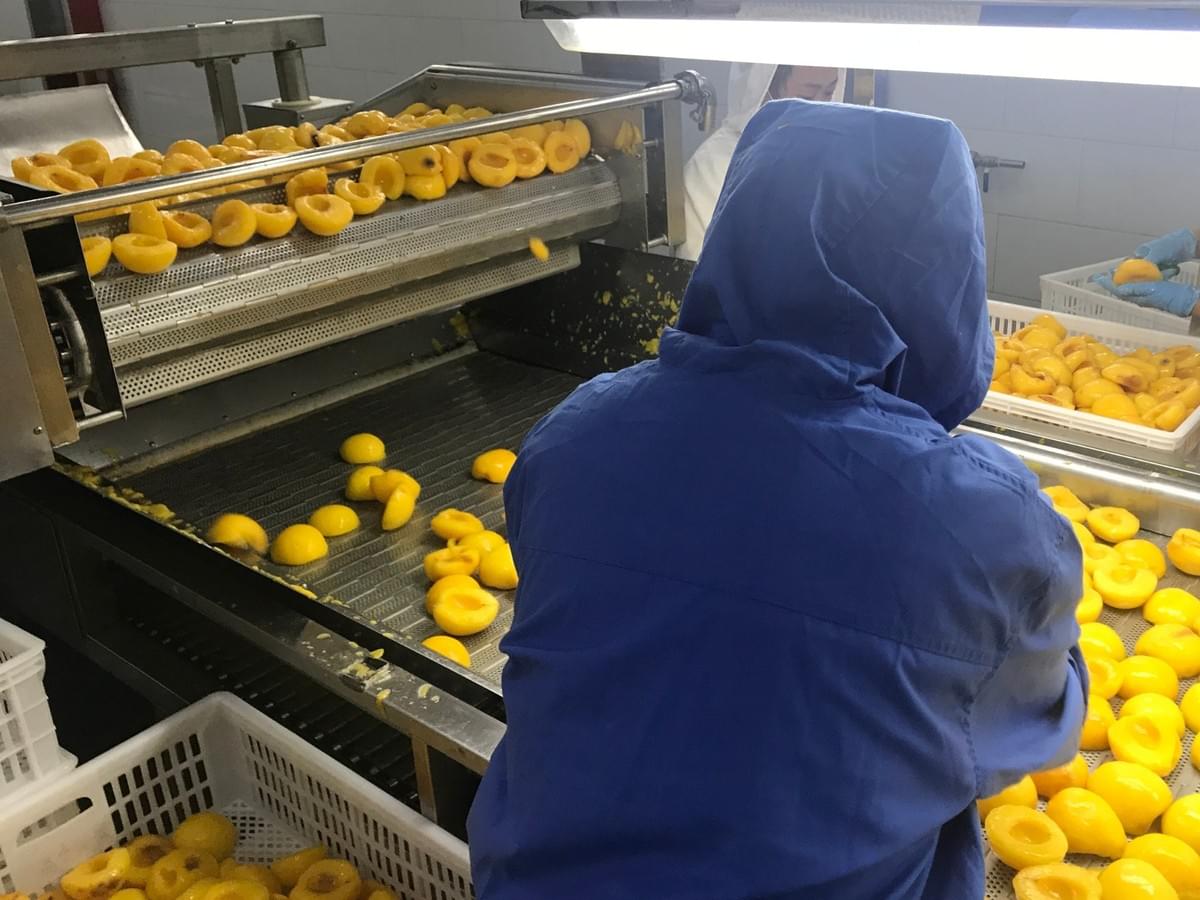 IQF Yellow Peaches Halves