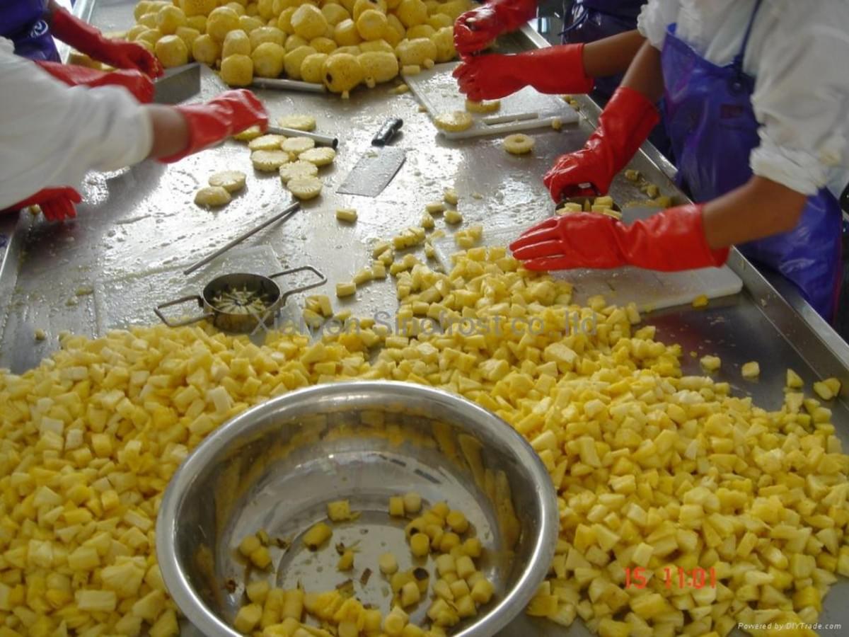 IQF Pineapples Tidbits