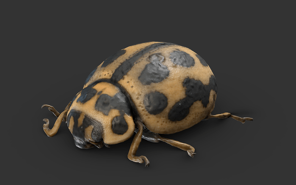 This could be a bug, or a monster, depending on how you scale it. Sketchfab This could be a bug, or a monster, depending on how you scale it. Sketchfab