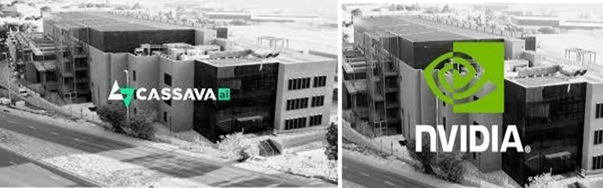 Section image