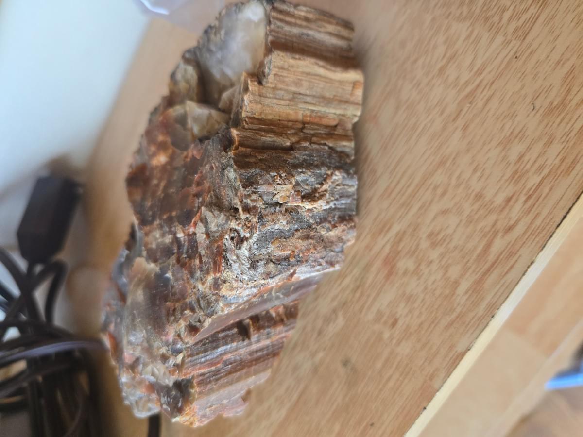 Section image