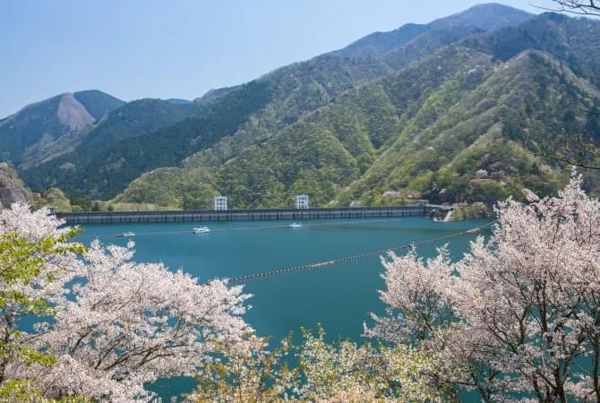 関東で自然と癒しを感じるおすすめスポット-奥多摩湖 関東で自然と癒しを感じるおすすめスポット-奥多摩湖