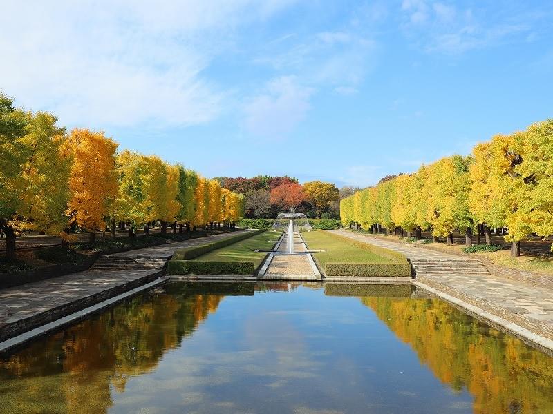 関東でおすすめの日帰り自然ドライブスポット-国営昭和記念公園 関東でおすすめの日帰り自然ドライブスポット-国営昭和記念公園