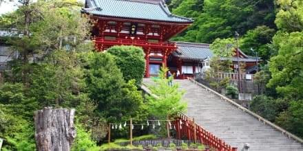 関東で自然と癒しを感じるおすすめスポット-鶴岡八幡宮 関東で自然と癒しを感じるおすすめスポット-鶴岡八幡宮