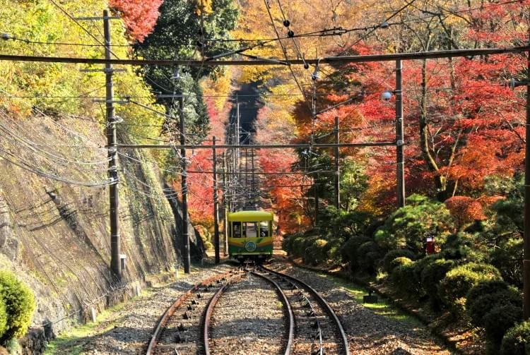 関東で自然と癒しを感じるおすすめスポット-高尾山 関東で自然と癒しを感じるおすすめスポット-高尾山