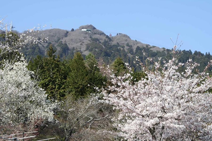 関東で自然と癒しを感じるおすすめスポット-筑波山 関東で自然と癒しを感じるおすすめスポット-筑波山