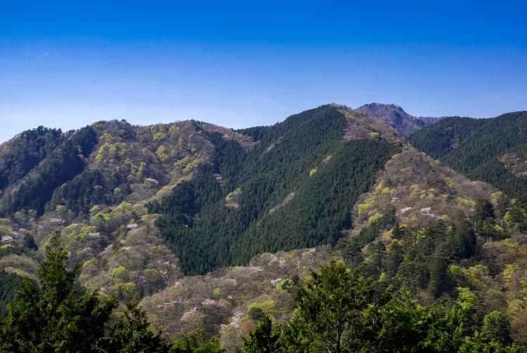 関東で自然と癒しを感じるおすすめスポット-御岳山 関東で自然と癒しを感じるおすすめスポット-御岳山